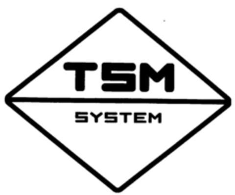 TSM SYSTEM Logo (IGE, 21.11.2000)