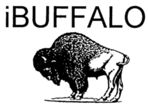 iBUFFALO Logo (IGE, 31.07.2002)