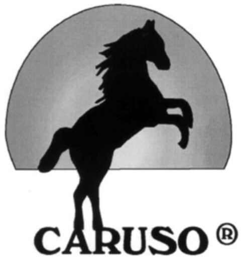 CARUSO Logo (IGE, 05.12.2002)