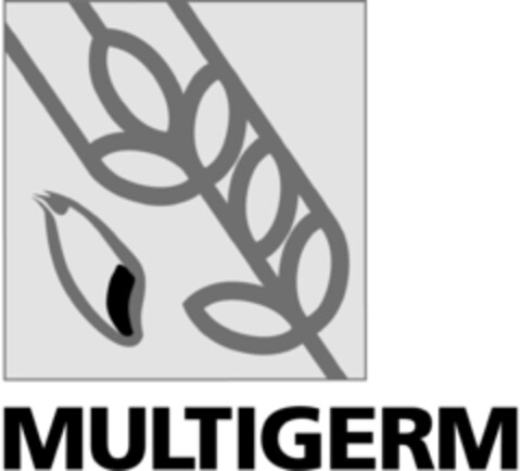 MULTIGERM Logo (IGE, 16.10.2015)