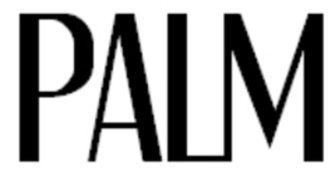 PALM Logo (IGE, 05.04.2006)