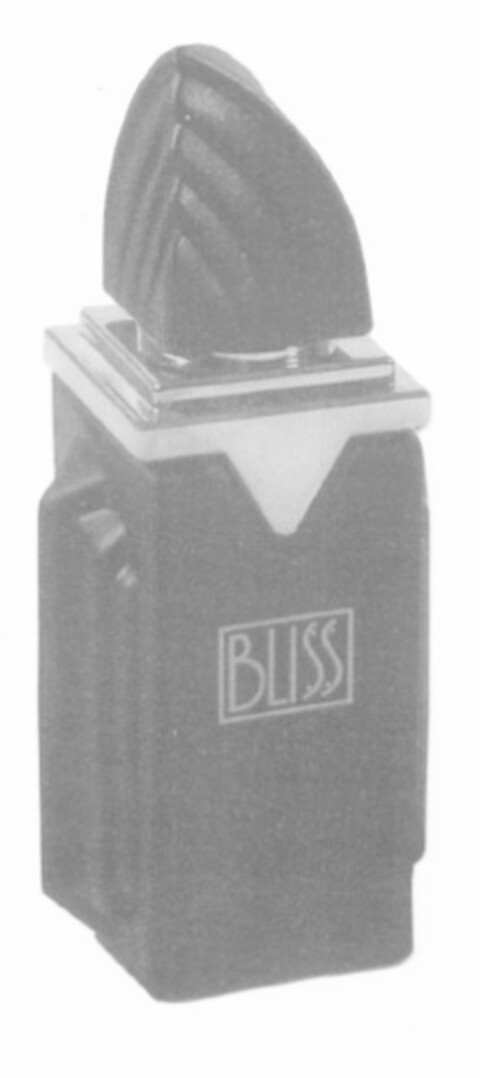 BLISS Logo (IGE, 30.01.2006)