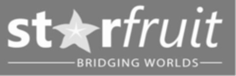 starfruit BRIDGING WORLDS Logo (IGE, 29.11.2007)