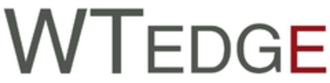 WTEDGE Logo (IGE, 01.12.2022)