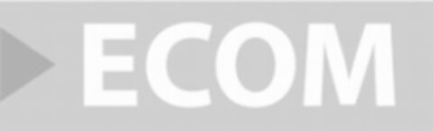 ECOM Logo (IGE, 22.06.2006)