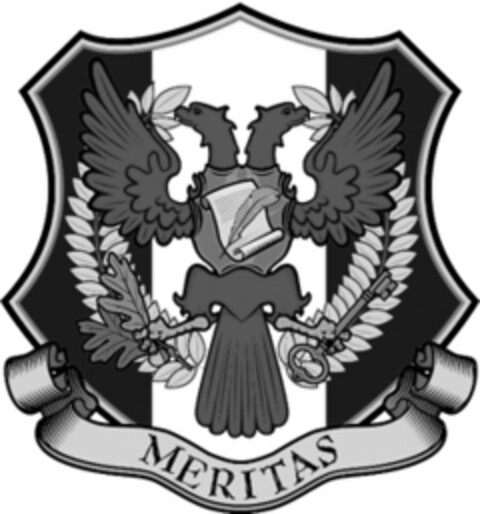 MERITAS Logo (IGE, 30.07.2008)