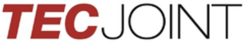TECJOINT Logo (IGE, 23.08.2013)