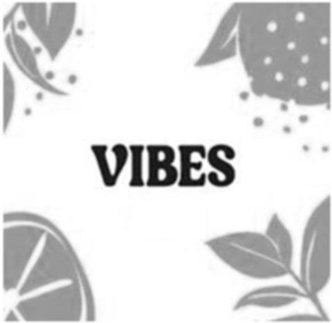 VIBES Logo (IGE, 19.02.2021)