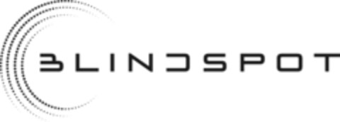 BLINDSPOT Logo (IGE, 17.07.2023)