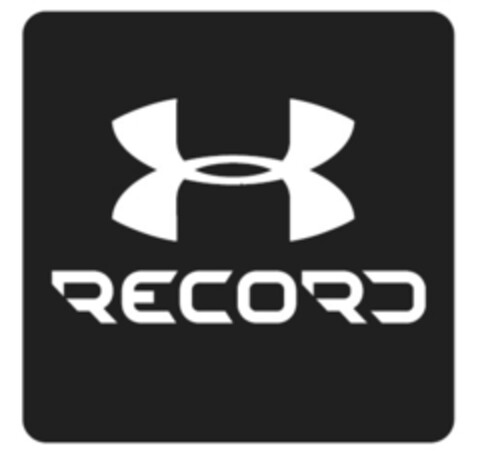 RECORD Logo (IGE, 06.07.2015)