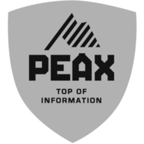 PEAX TOP OF INFORMATION Logo (IGE, 21.08.2013)