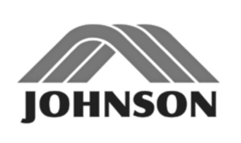 JOHNSON Logo (IGE, 10.06.2020)