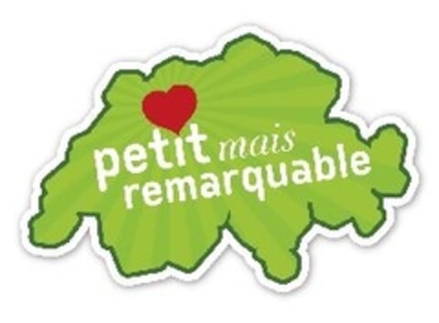 petit mais remarquable Logo (IGE, 26.10.2015)