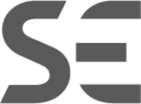 SE Logo (IGE, 01.02.2024)