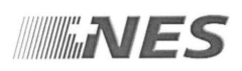 NES Logo (IGE, 29.07.2005)