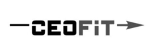 CEOFiT Logo (IGE, 07.03.2011)