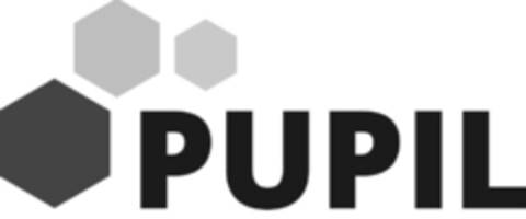 PUPIL Logo (IGE, 04.08.2020)