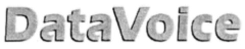DataVoice Logo (IGE, 18.02.2004)