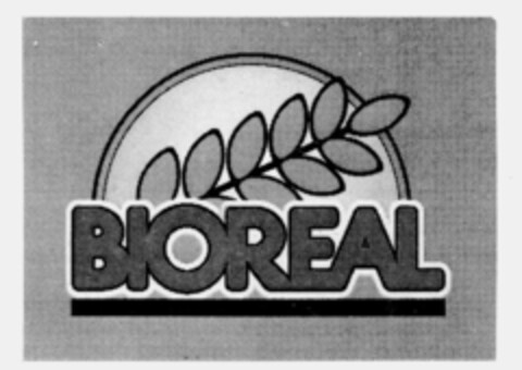 BIOREAL Logo (IGE, 02.06.1995)