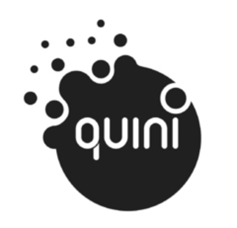 quini Logo (IGE, 10.11.2023)