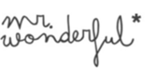 mr. wonderful* Logo (IGE, 20.11.2023)