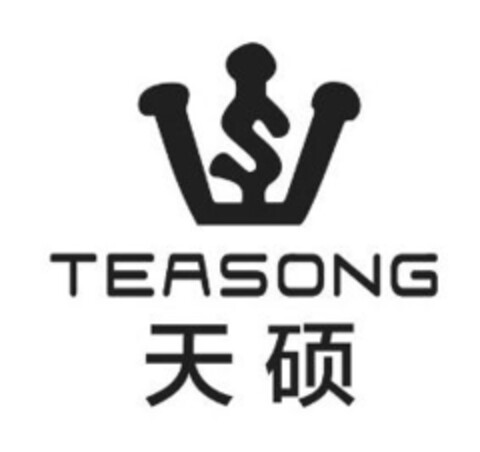 TEASONG Logo (IGE, 24.11.2014)