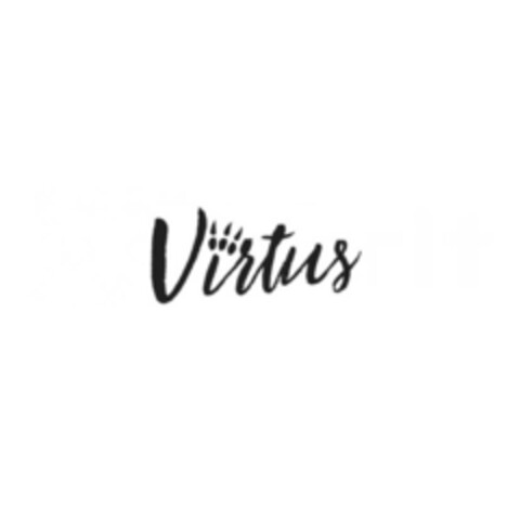 Virtus Logo (IGE, 09.08.2018)