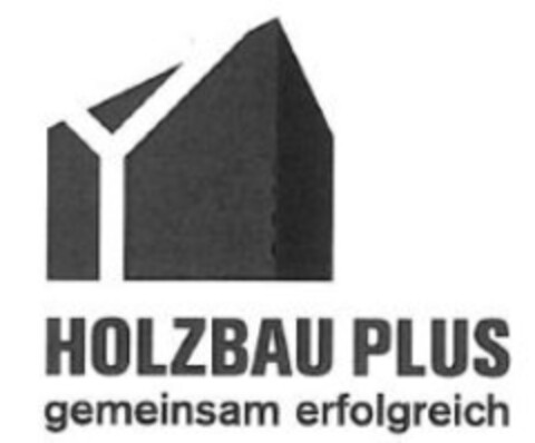 HOLZBAU PLUS gemeinsam erfolgreich Logo (IGE, 02/01/2011)