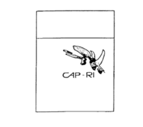 CAP-RI Logo (IGE, 01/15/1986)