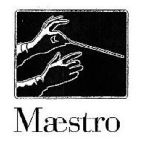 Maestro Logo (IGE, 11.05.2007)