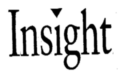 Insight Logo (IGE, 27.04.2011)