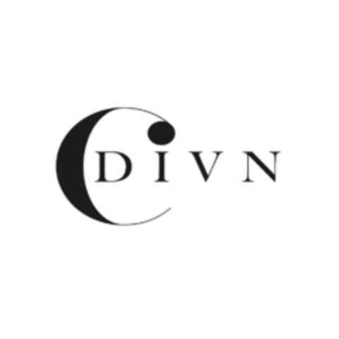 CDIVN Logo (IGE, 05.09.2019)