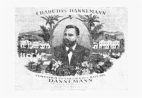 CHARUTOS DANNEMANN DANNEMANN Logo (IGE, 27.04.1987)
