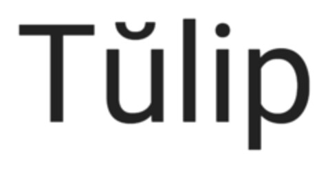 Tulip Logo (IGE, 04.08.2023)