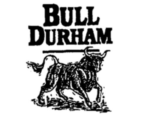 BULL DURHAM Logo (IGE, 03/09/1992)