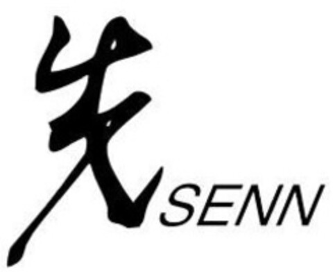 SENN Logo (IGE, 01.04.2005)