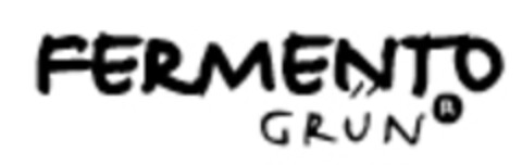 FERMENTO GRÜN Logo (IGE, 24.07.2006)