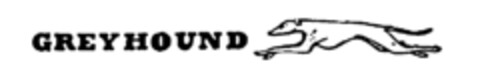 GREYHOUND Logo (IGE, 02.02.1982)