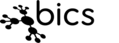 bics Logo (IGE, 08.12.2010)