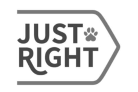 JUST RIGHT Logo (IGE, 22.04.2021)