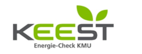 KEEST Energie-Check KMU Logo (IGE, 09.05.2016)