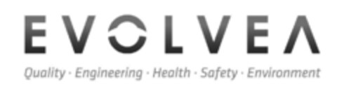 EVOLVEA Quality Engineering Health Safety Environment Logo (IGE, 05/27/2014)