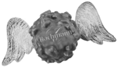 Bachmann Logo (IGE, 10.10.2013)