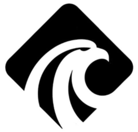  Logo (IGE, 20.03.2019)