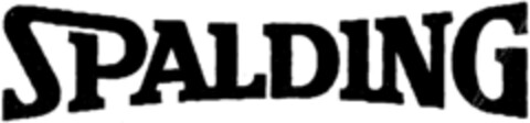 SPALDING Logo (IGE, 11/10/1998)