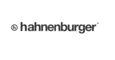 h hahnenburger Logo (IGE, 03.01.2024)