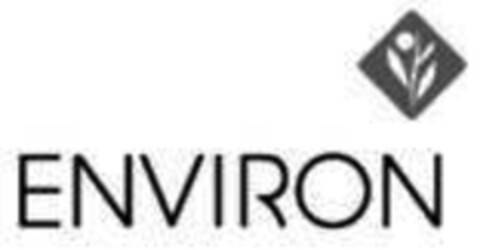 ENVIRON Logo (IGE, 16.08.2010)