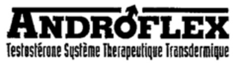 ANDROFLEX Testostérone Système Therapeutique Transdermique Logo (IGE, 14.02.1996)