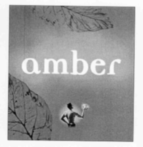 amber Logo (IGE, 08/18/1999)