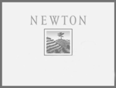 NEWTON Logo (IGE, 01.11.2010)